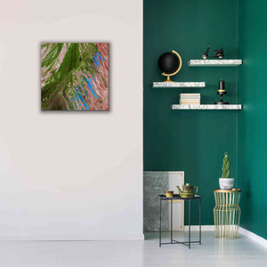 'Earth as Art: Painting the Desert,' Canvas Wall Art,26 x 26