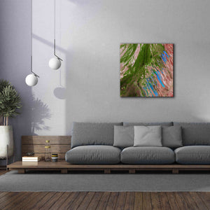 'Earth as Art: Painting the Desert,' Canvas Wall Art,37 x 37