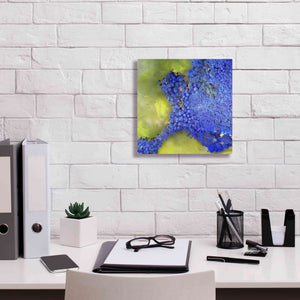 'Earth as Art: Palmyra,' Canvas Wall Art,12 x 12