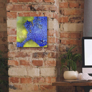 'Earth as Art: Palmyra,' Canvas Wall Art,12 x 12