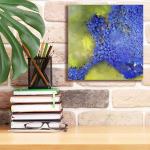 'Earth as Art: Palmyra,' Canvas Wall Art,12 x 12