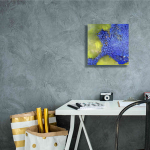 'Earth as Art: Palmyra,' Canvas Wall Art,12 x 12