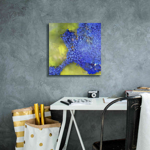 'Earth as Art: Palmyra,' Canvas Wall Art,18 x 18