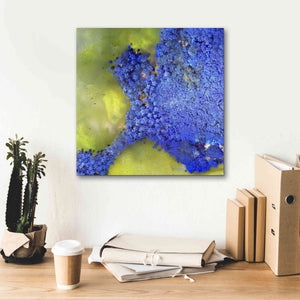 'Earth as Art: Palmyra,' Canvas Wall Art,18 x 18