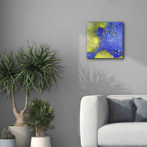 'Earth as Art: Palmyra,' Canvas Wall Art,18 x 18