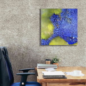 'Earth as Art: Palmyra,' Canvas Wall Art,26 x 26