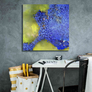 'Earth as Art: Palmyra,' Canvas Wall Art,26 x 26