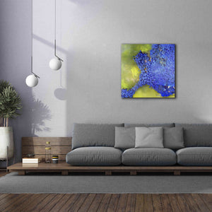 'Earth as Art: Palmyra,' Canvas Wall Art,37 x 37