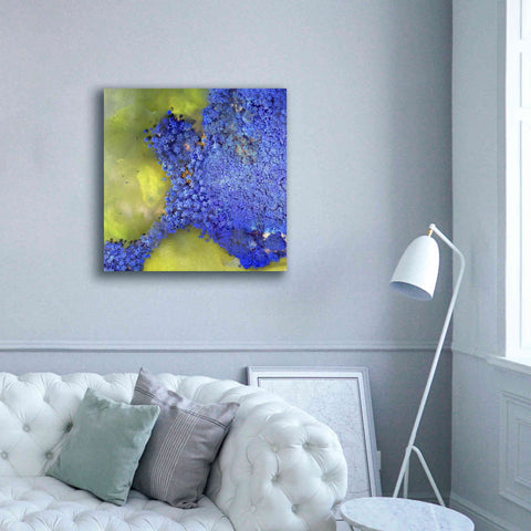 Image of 'Earth as Art: Palmyra,' Canvas Wall Art,37 x 37