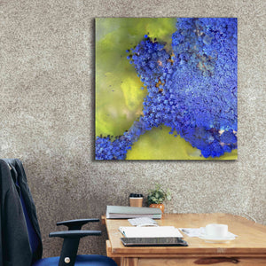 'Earth as Art: Palmyra,' Canvas Wall Art,37 x 37