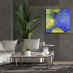 'Earth as Art: Palmyra,' Canvas Wall Art,37 x 37