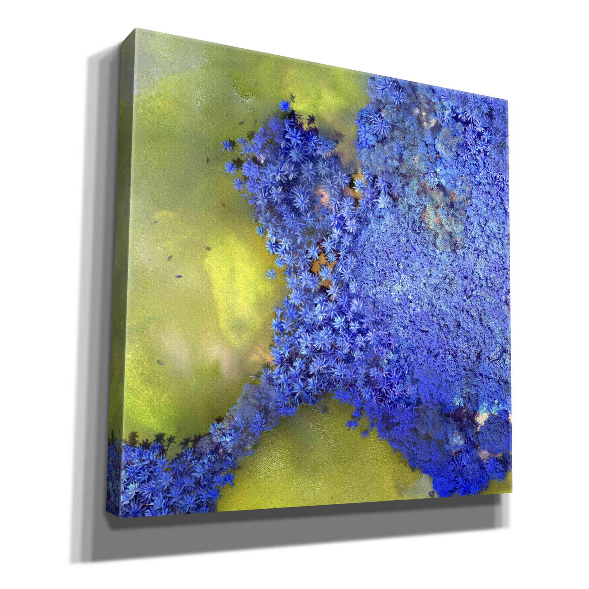 'Earth as Art: Palmyra,' Canvas Wall Art,12x12x1.1x0,18x18x1.1x0,26x26x1.74x0,37x37x1.74x0