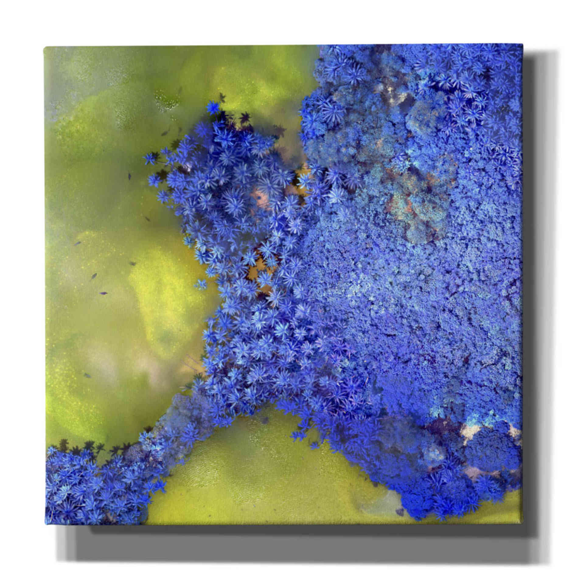 'Earth as Art: Palmyra,' Canvas Wall Art,12x12x1.1x0,18x18x1.1x0,26x26x1.74x0,37x37x1.74x0