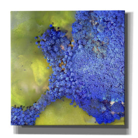 'Earth as Art: Palmyra,' Canvas Wall Art,12x12x1.1x0,18x18x1.1x0,26x26x1.74x0,37x37x1.74x0