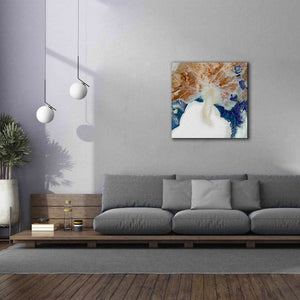'Earth as Art: Rapid Ice Movement,' Canvas Wall Art,37 x 37