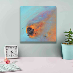 'Earth as Art: Re-Entry,' Canvas Wall Art,12 x 12