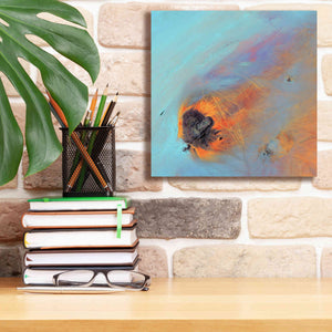 'Earth as Art: Re-Entry,' Canvas Wall Art,12 x 12