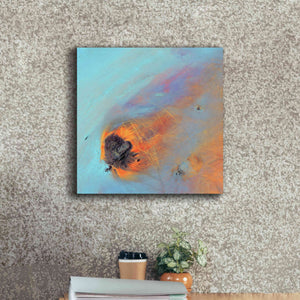 'Earth as Art: Re-Entry,' Canvas Wall Art,18 x 18