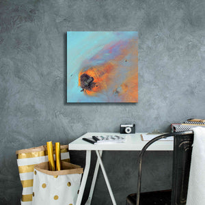 'Earth as Art: Re-Entry,' Canvas Wall Art,18 x 18