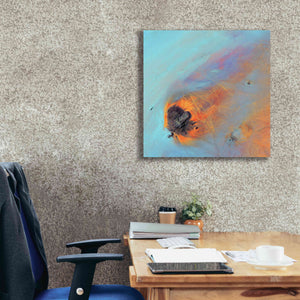 'Earth as Art: Re-Entry,' Canvas Wall Art,26 x 26