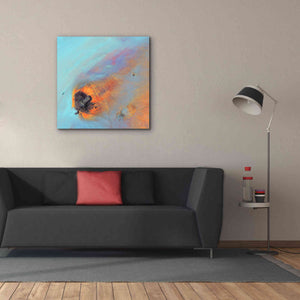 'Earth as Art: Re-Entry,' Canvas Wall Art,37 x 37
