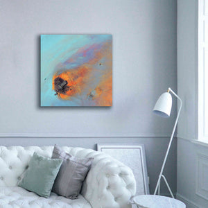 'Earth as Art: Re-Entry,' Canvas Wall Art,37 x 37