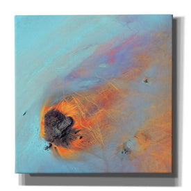 'Earth as Art: Re-Entry,' Canvas Wall Art,12x12x1.1x0,18x18x1.1x0,26x26x1.74x0,37x37x1.74x0
