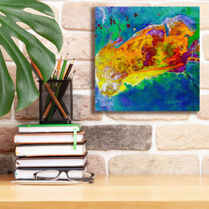 'Earth as Art: Salty Desolation,' Canvas Wall Art,12 x 12
