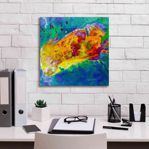 'Earth as Art: Salty Desolation,' Canvas Wall Art,18 x 18