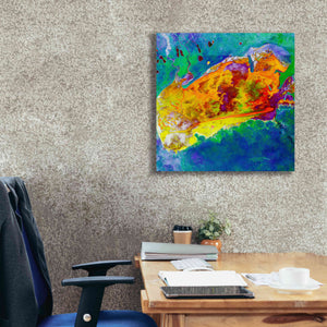 'Earth as Art: Salty Desolation,' Canvas Wall Art,26 x 26