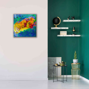 'Earth as Art: Salty Desolation,' Canvas Wall Art,26 x 26
