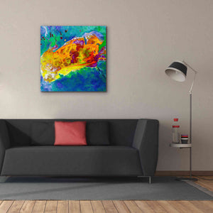 'Earth as Art: Salty Desolation,' Canvas Wall Art,37 x 37