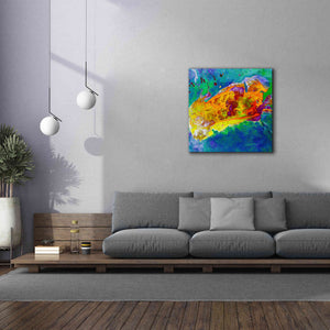 'Earth as Art: Salty Desolation,' Canvas Wall Art,37 x 37