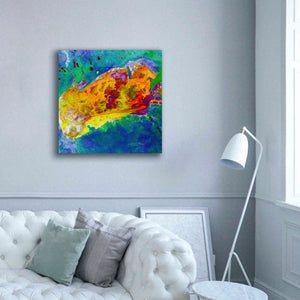 'Earth as Art: Salty Desolation,' Canvas Wall Art,37 x 37