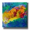 'Earth as Art: Salty Desolation,' Canvas Wall Art,12x12x1.1x0,18x18x1.1x0,26x26x1.74x0,37x37x1.74x0