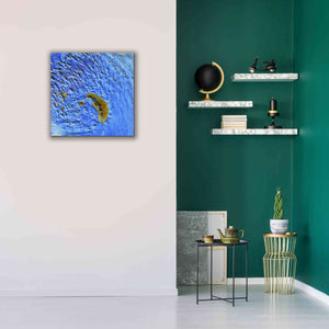 'Earth as Art: Sand Waves,' Canvas Wall Art,26 x 26