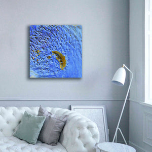 'Earth as Art: Sand Waves,' Canvas Wall Art,37 x 37