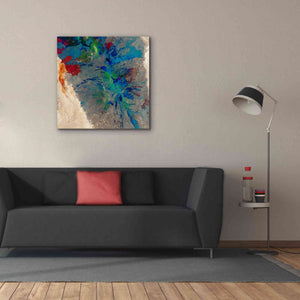 'Earth as Art: Torn Apart,' Canvas Wall Art,37 x 37