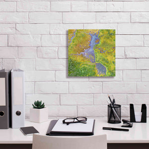 'Earth as Art: Watching Wetlands,' Canvas Wall Art,12 x 12