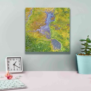 'Earth as Art: Watching Wetlands,' Canvas Wall Art,12 x 12
