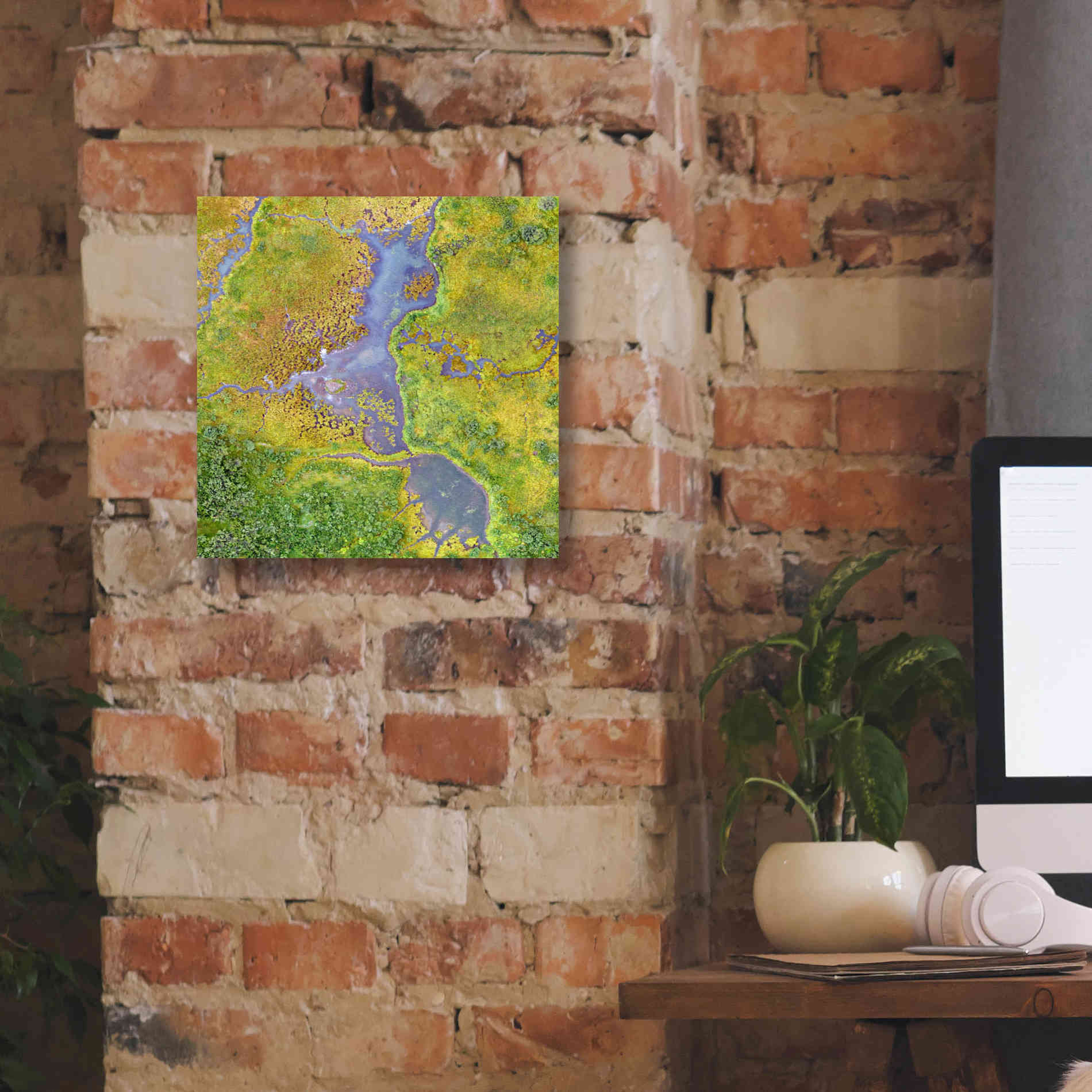 'Earth as Art: Watching Wetlands,' Canvas Wall Art,12 x 12