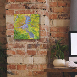 'Earth as Art: Watching Wetlands,' Canvas Wall Art,12 x 12
