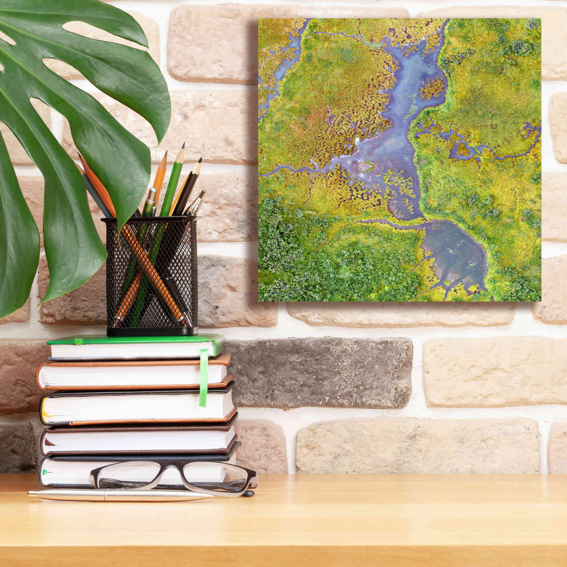 'Earth as Art: Watching Wetlands,' Canvas Wall Art,12 x 12