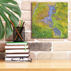 'Earth as Art: Watching Wetlands,' Canvas Wall Art,12 x 12