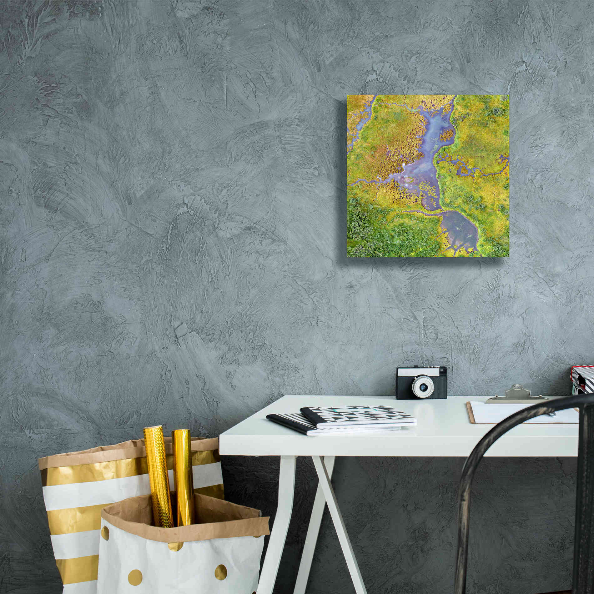 'Earth as Art: Watching Wetlands,' Canvas Wall Art,12 x 12