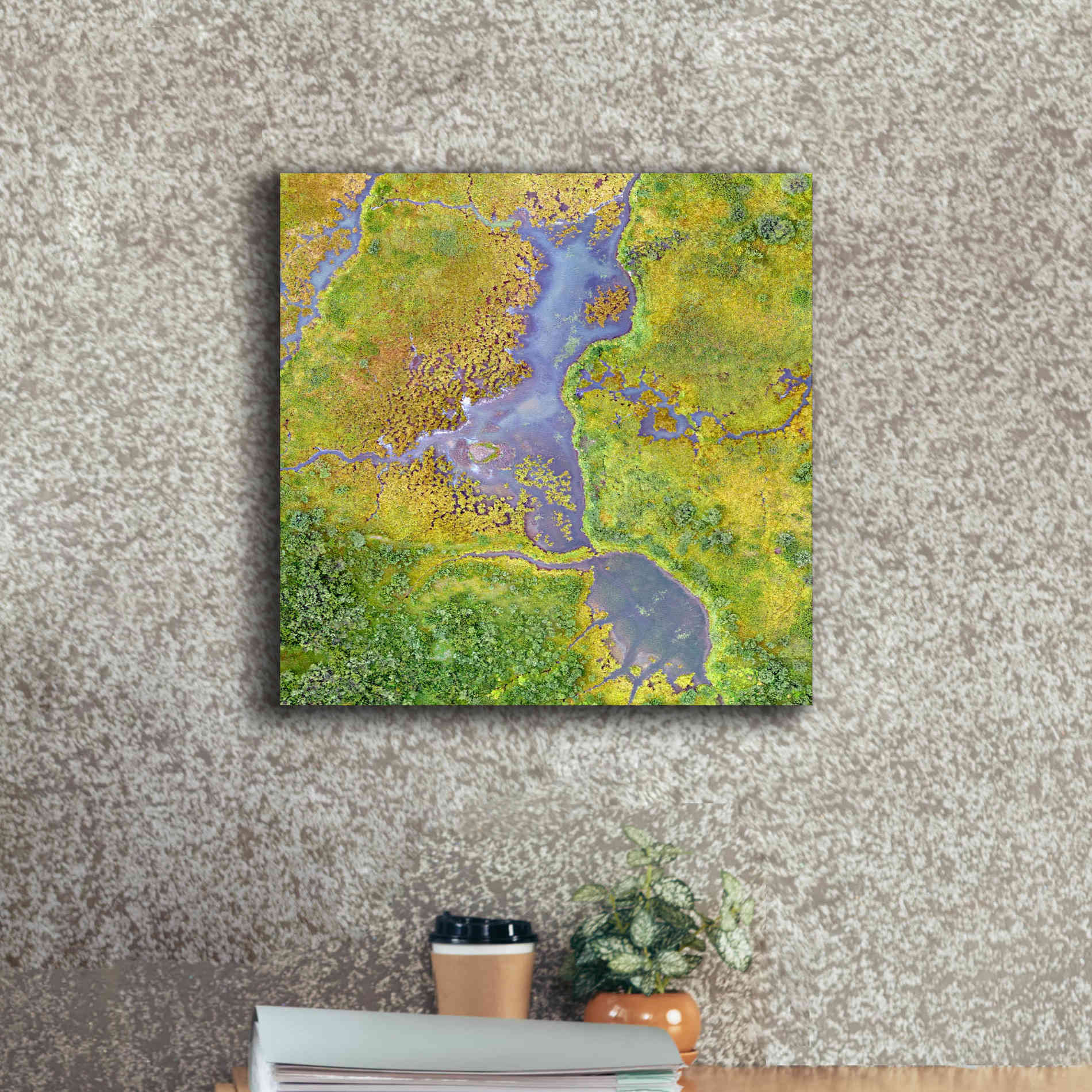'Earth as Art: Watching Wetlands,' Canvas Wall Art,18 x 18