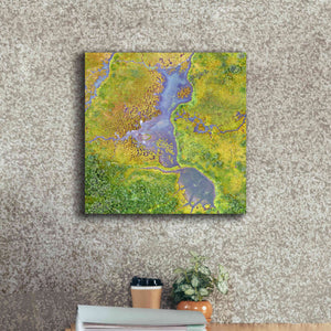 'Earth as Art: Watching Wetlands,' Canvas Wall Art,18 x 18