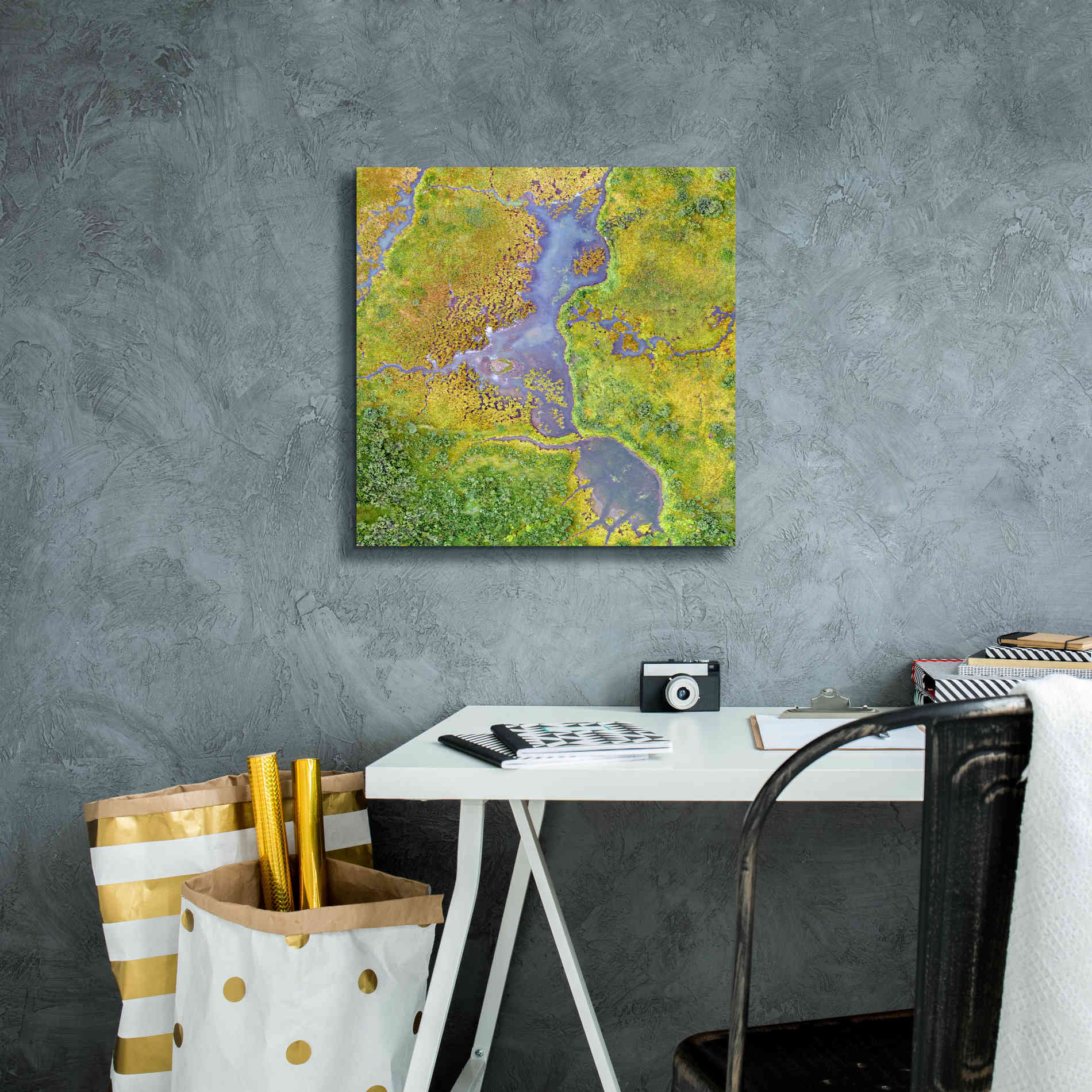 'Earth as Art: Watching Wetlands,' Canvas Wall Art,18 x 18