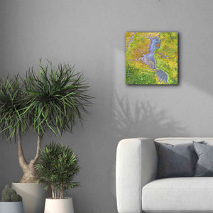 'Earth as Art: Watching Wetlands,' Canvas Wall Art,18 x 18