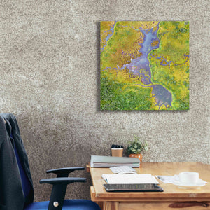 'Earth as Art: Watching Wetlands,' Canvas Wall Art,26 x 26